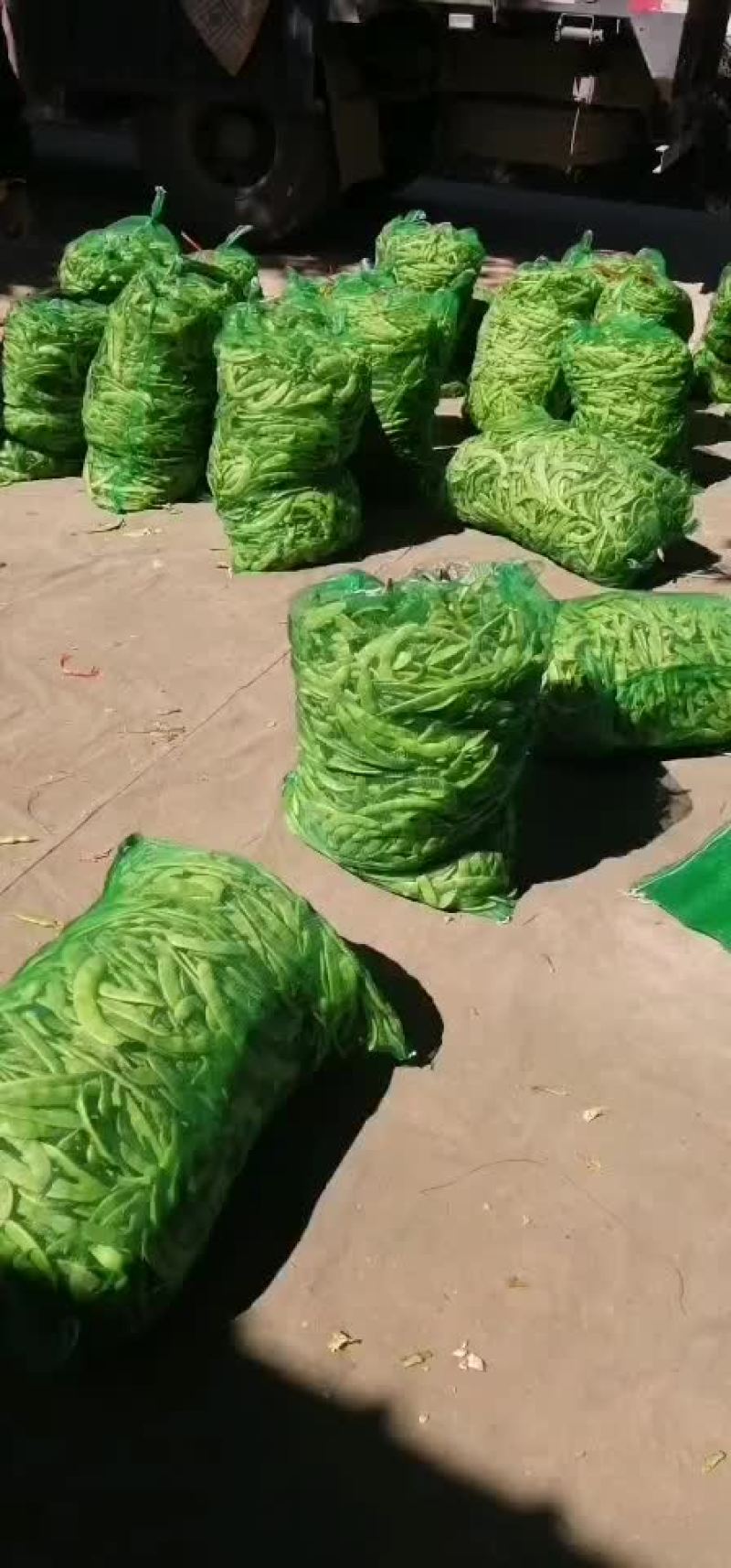 豆角