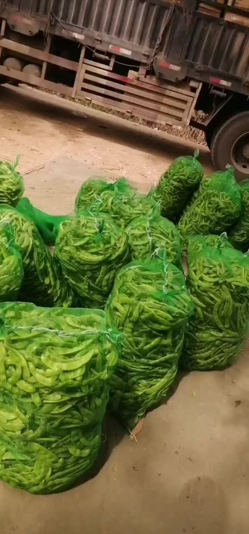 豆角