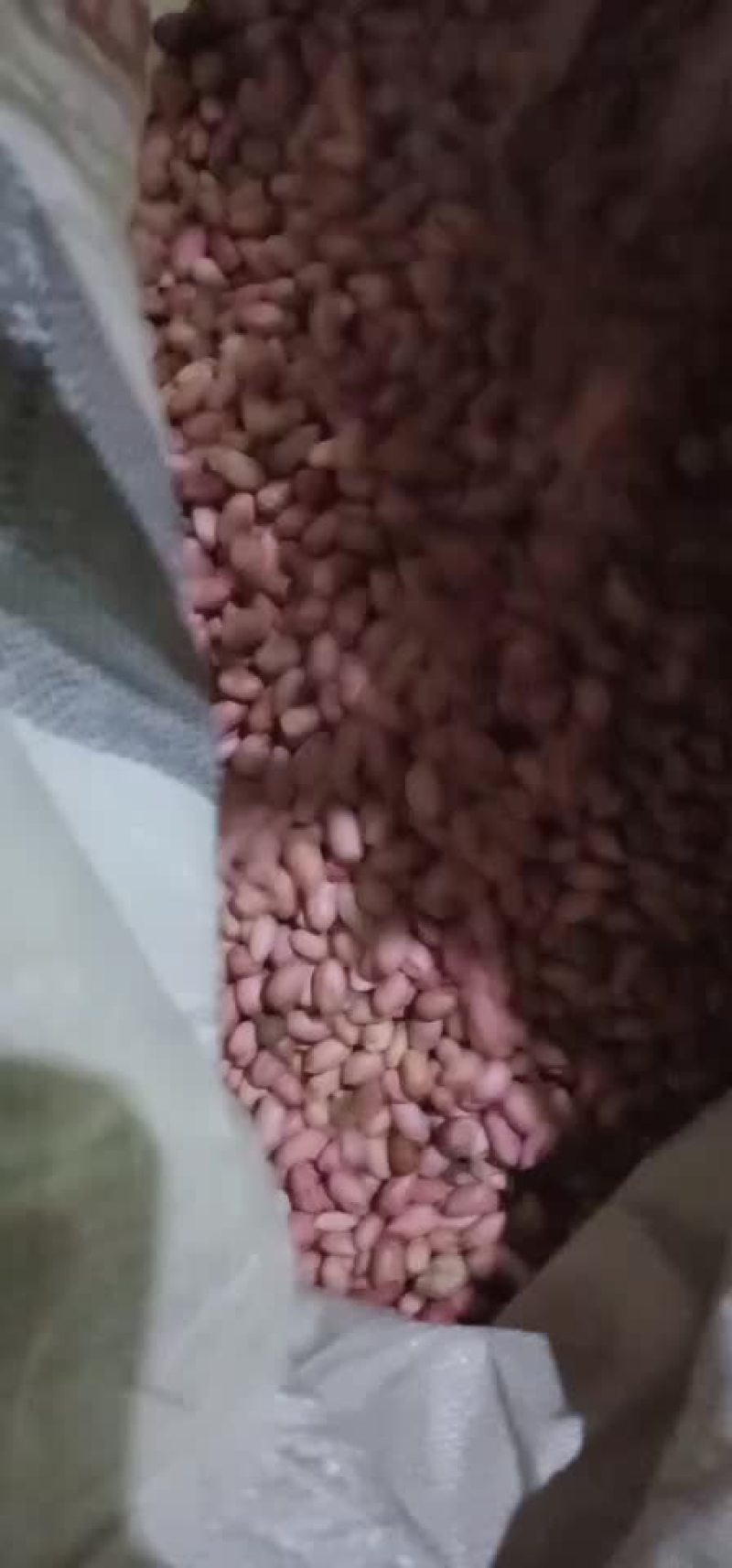 机打花育十六通货