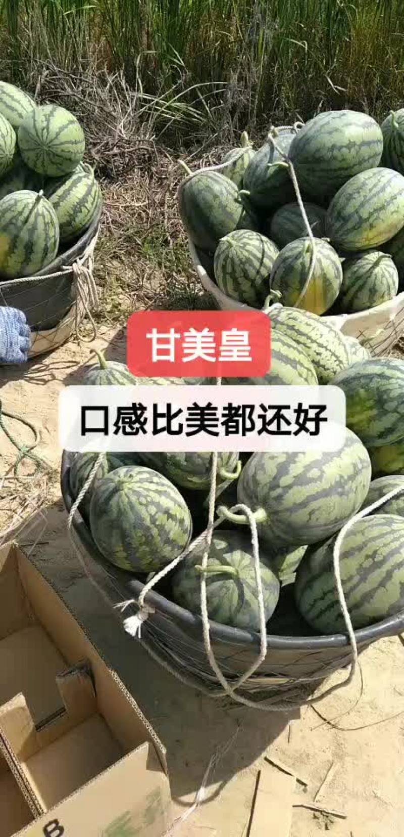 精品美都，欢迎各地老板合作共赢！