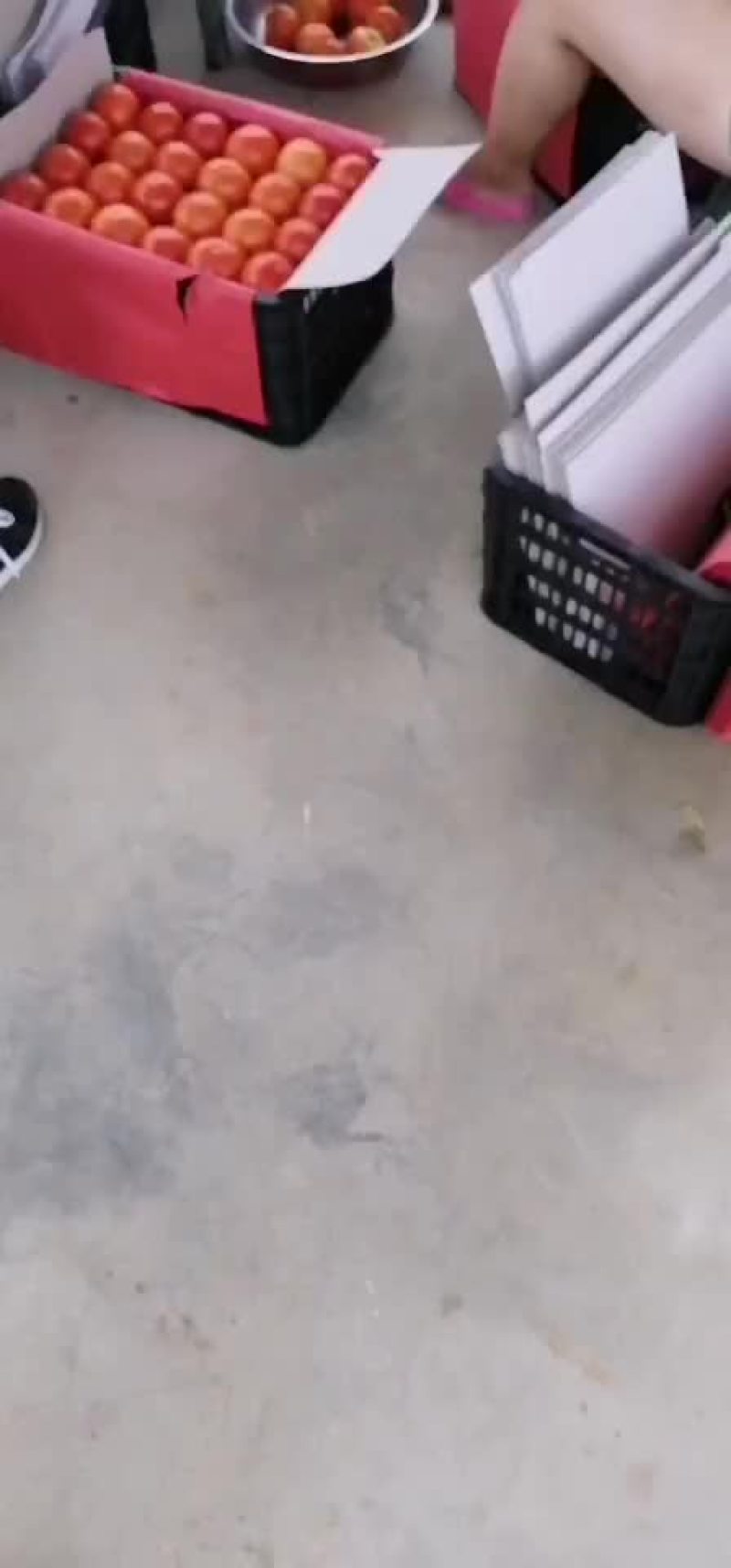 西红柿