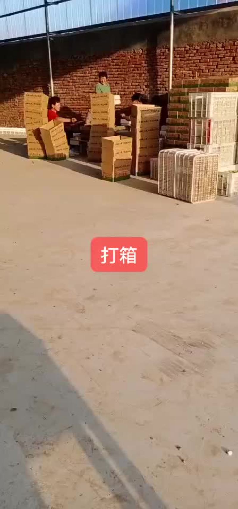 冬枣，电商对接，基地直供，地理位置优越，拥有大型场地