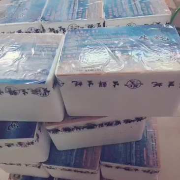 生蚝家庭礼品装5斤装工具配套齐全