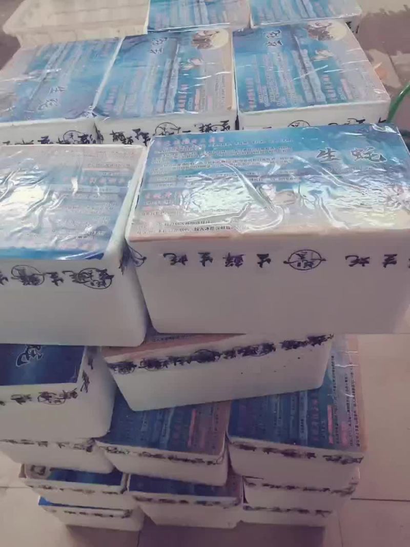 生蚝家庭礼品装5斤装工具配套齐全
