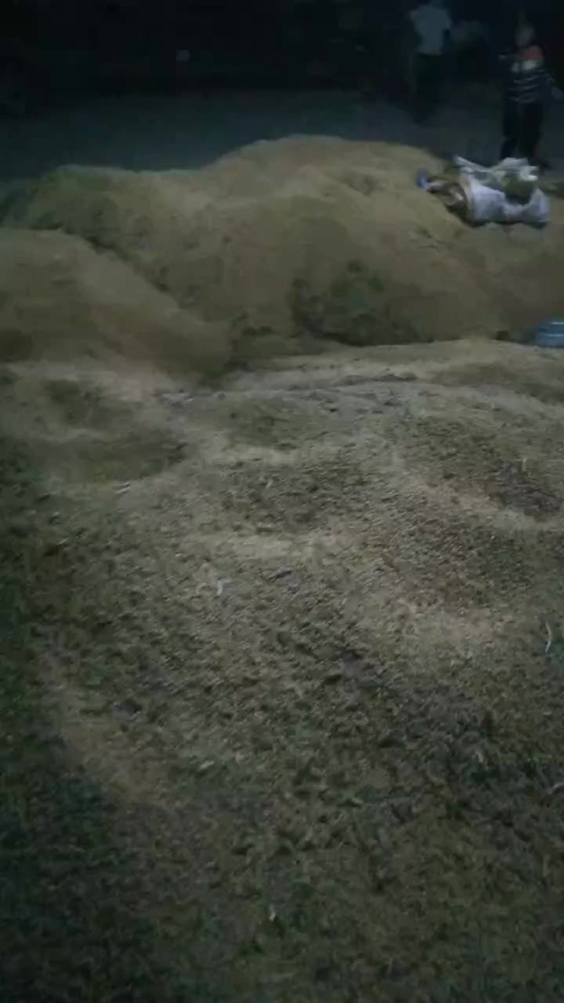 黄豆