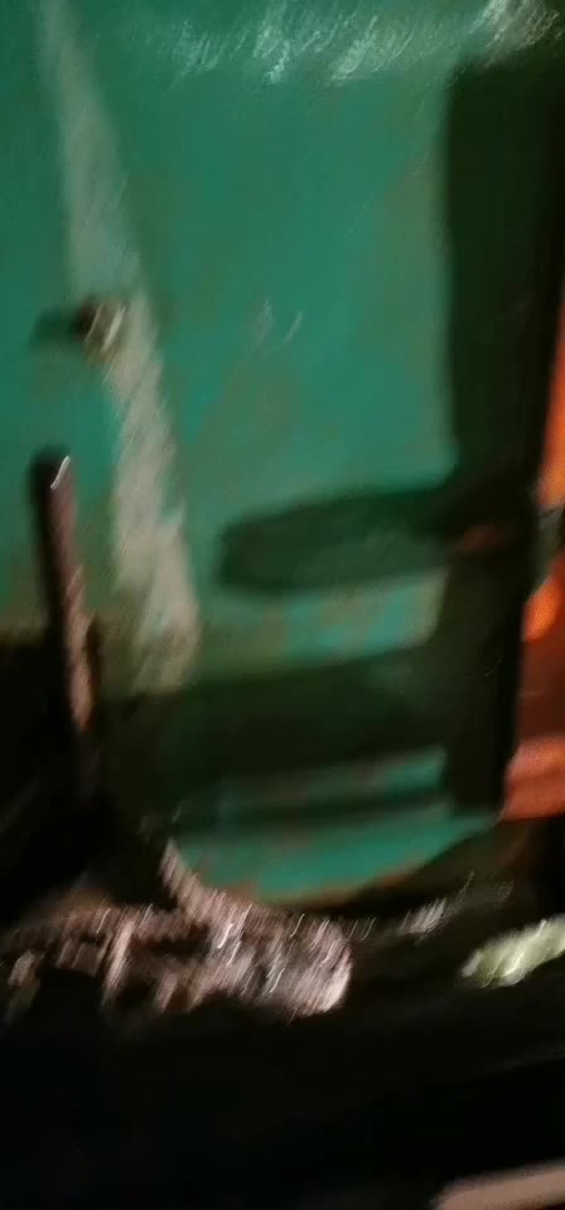 黄金鲫银鲫鱼中科三号鲫鱼