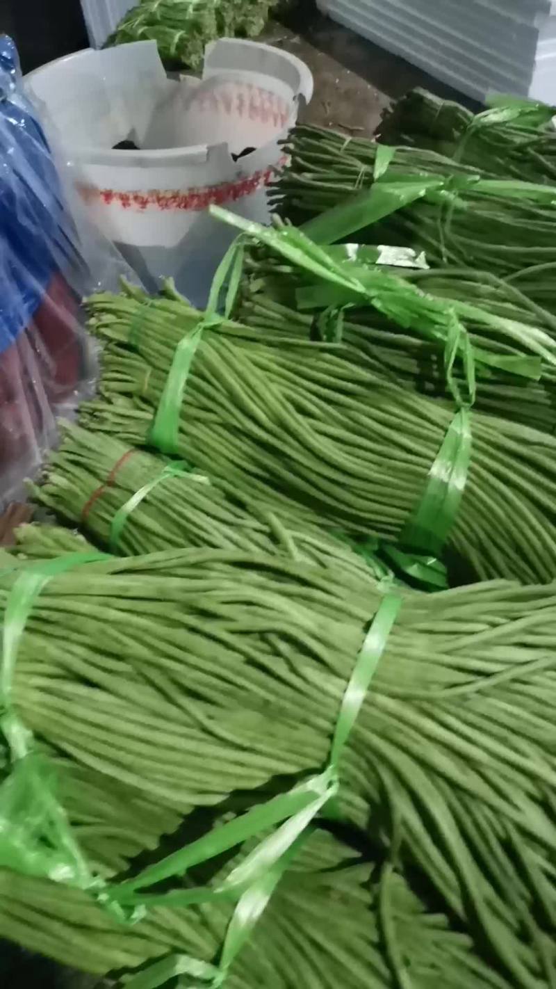 豇豆