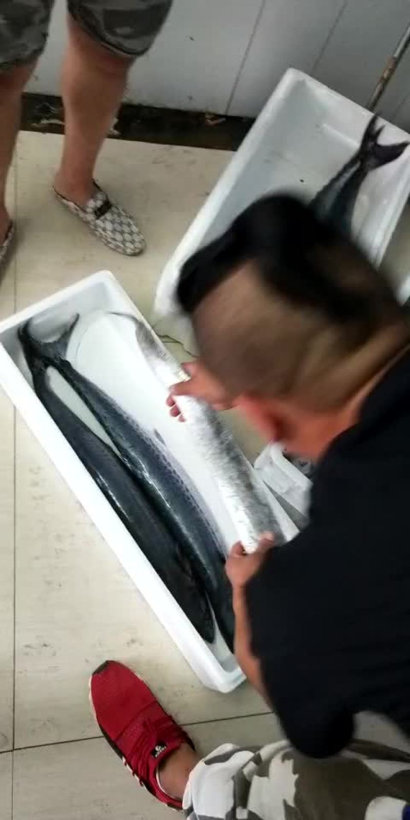 大鲅鱼，中鲅鱼，小鲅鱼大量有货