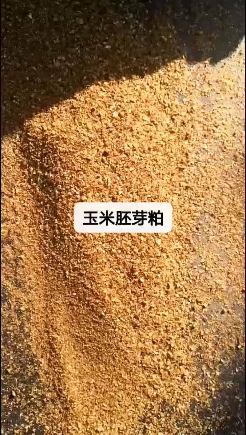 玉米胚芽粕