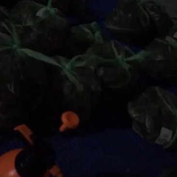 最近发货大货比较多有帮忙的没有一起合作
