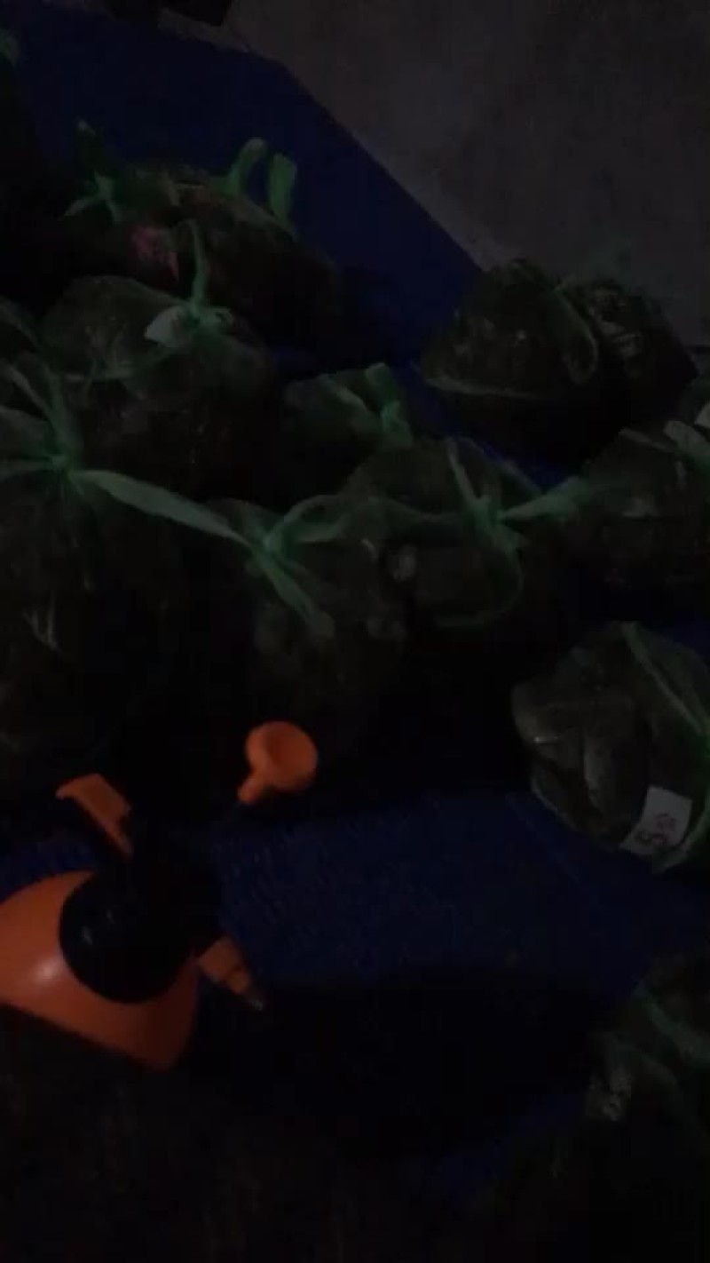 最近发货大货比较多有帮忙的没有一起合作