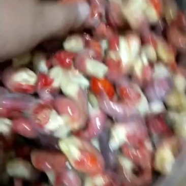 龙虾尾