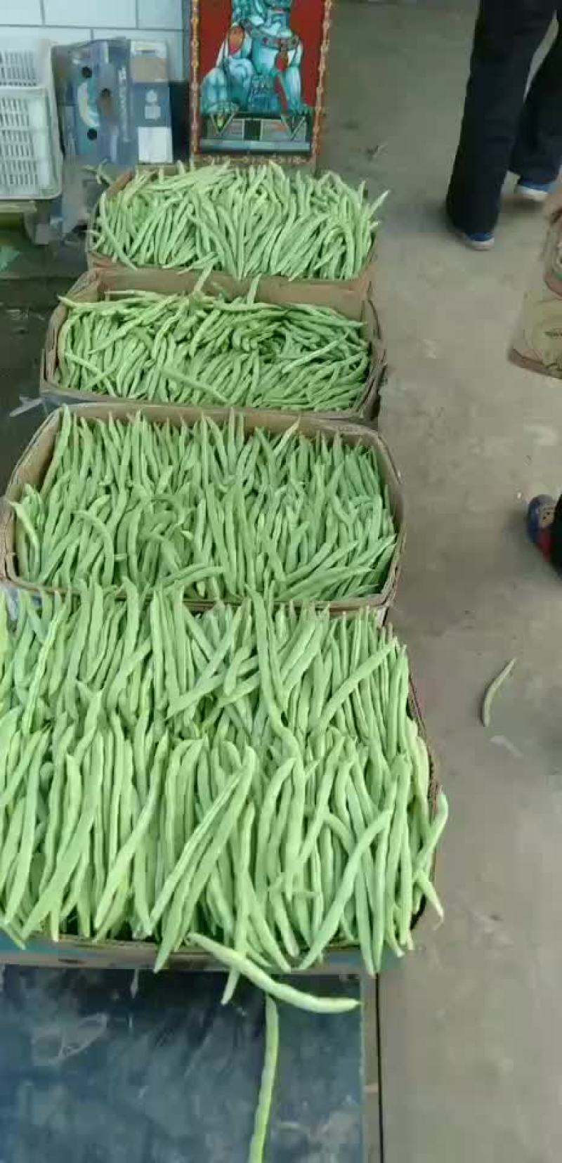 豆角
