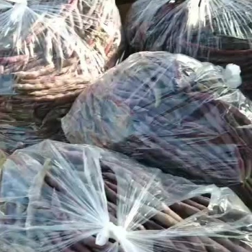 质量好