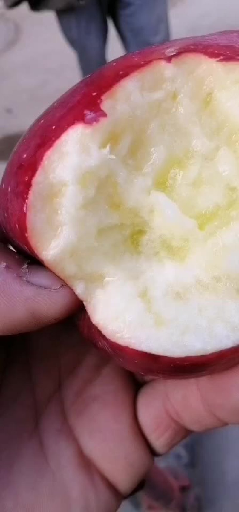 产地直销大花牛，新疆阿克苏，秦冠等各种苹果。