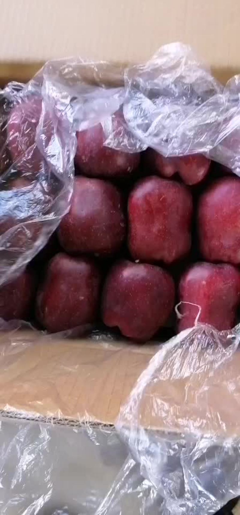 产地直销大花牛，新疆阿克苏，秦冠等各种苹果。