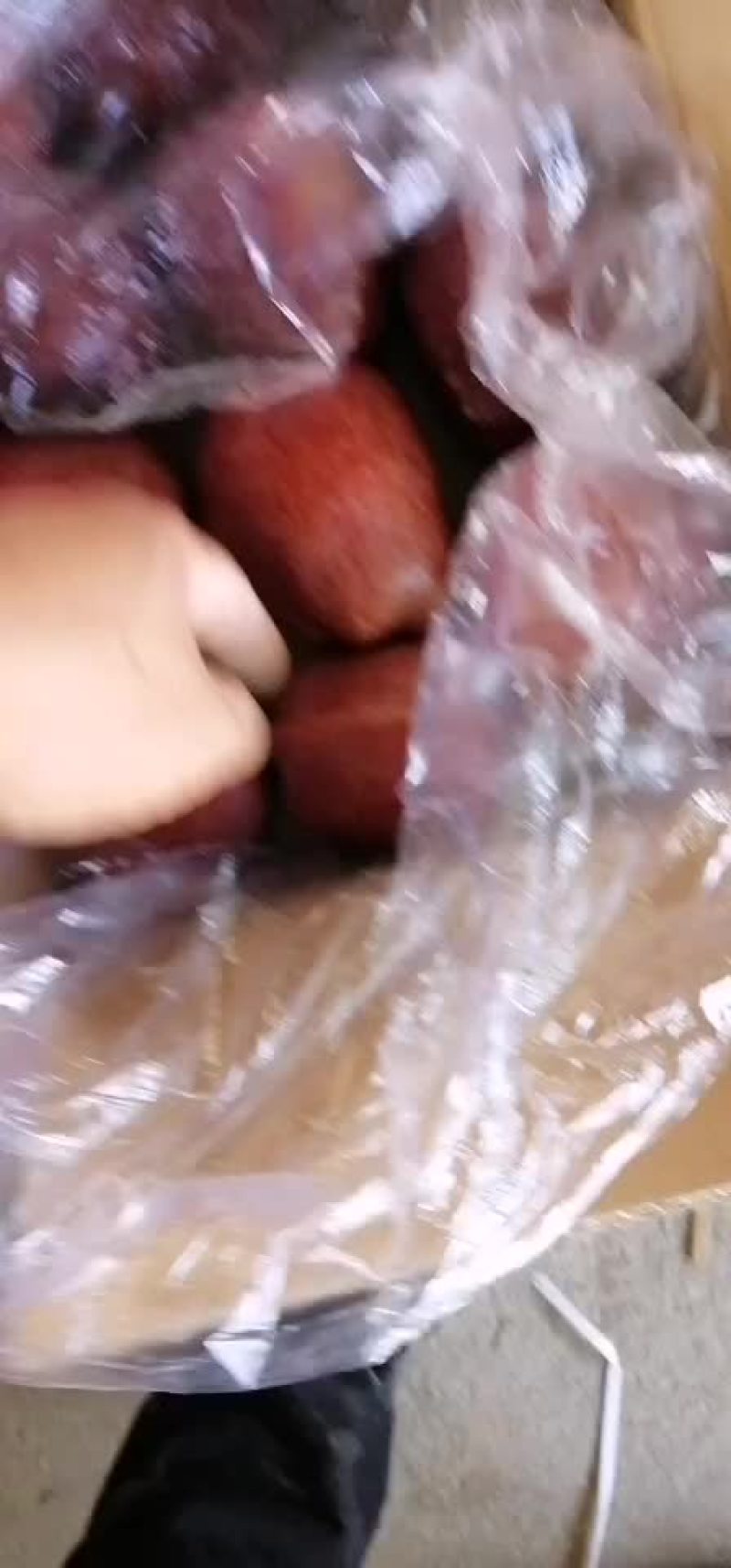 产地直销大花牛，新疆阿克苏，秦冠等各种苹果。