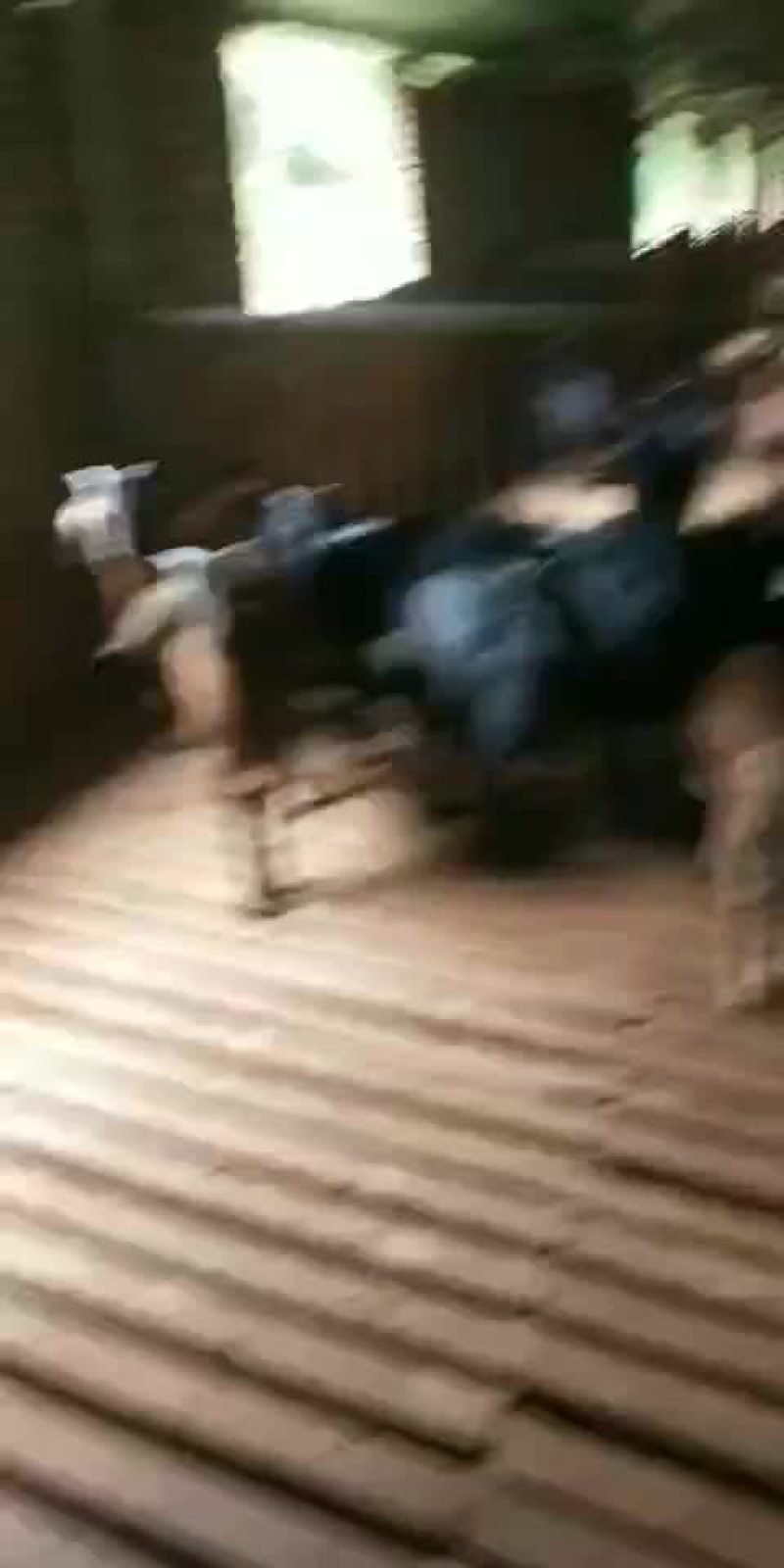 出售大耳种羊