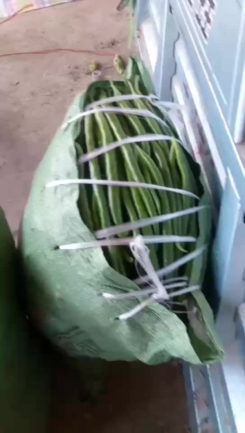 辣椒量大质量好代发全国保证质量一五八五六二四四五四三