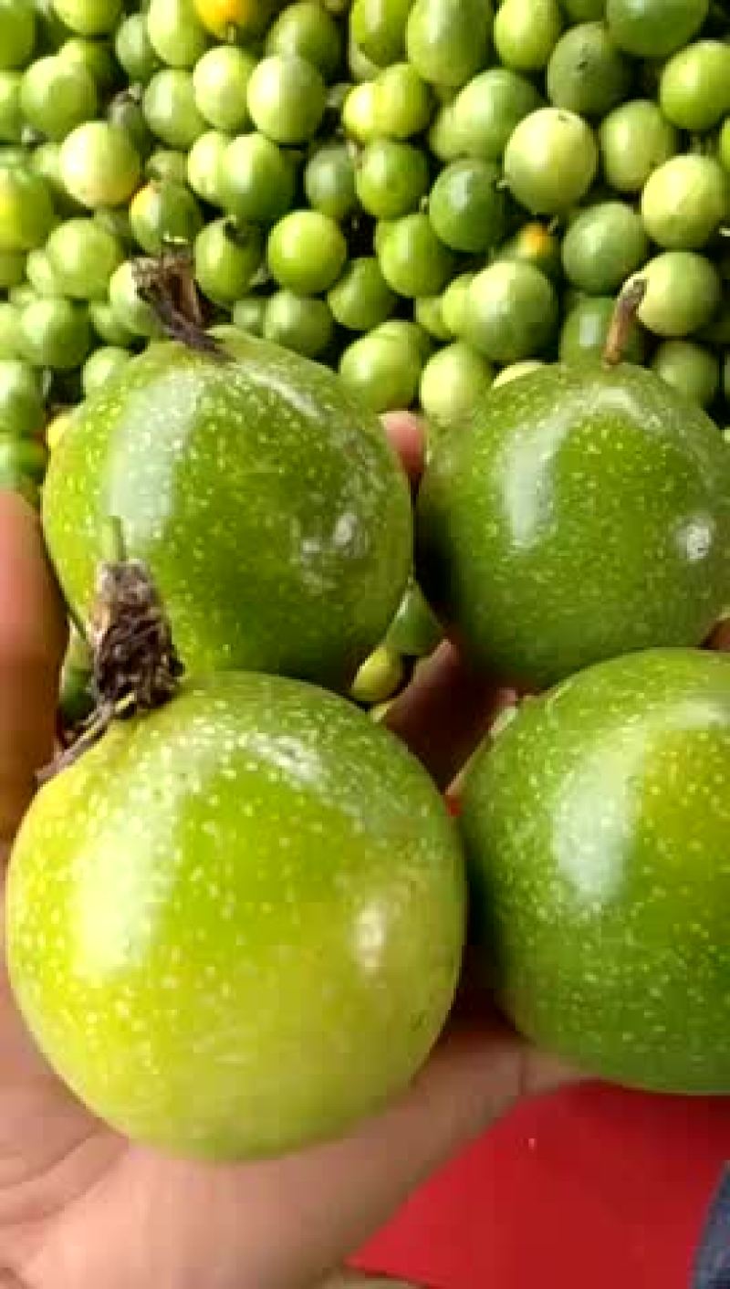 黄金百香果