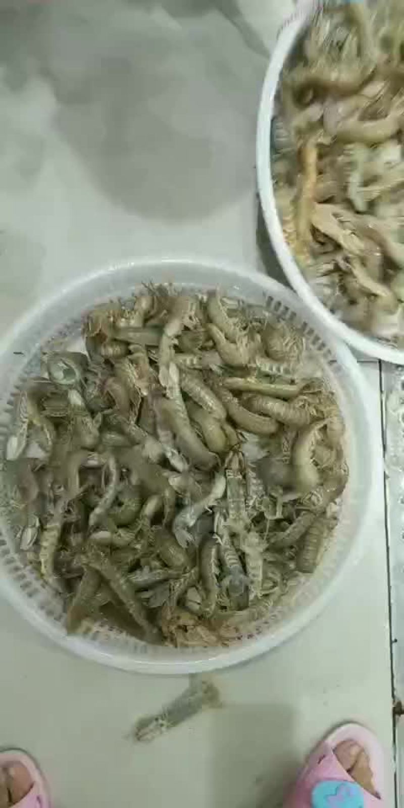 大虾爬子，就这个活度哈
