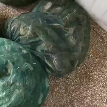 盱眙大闸蟹