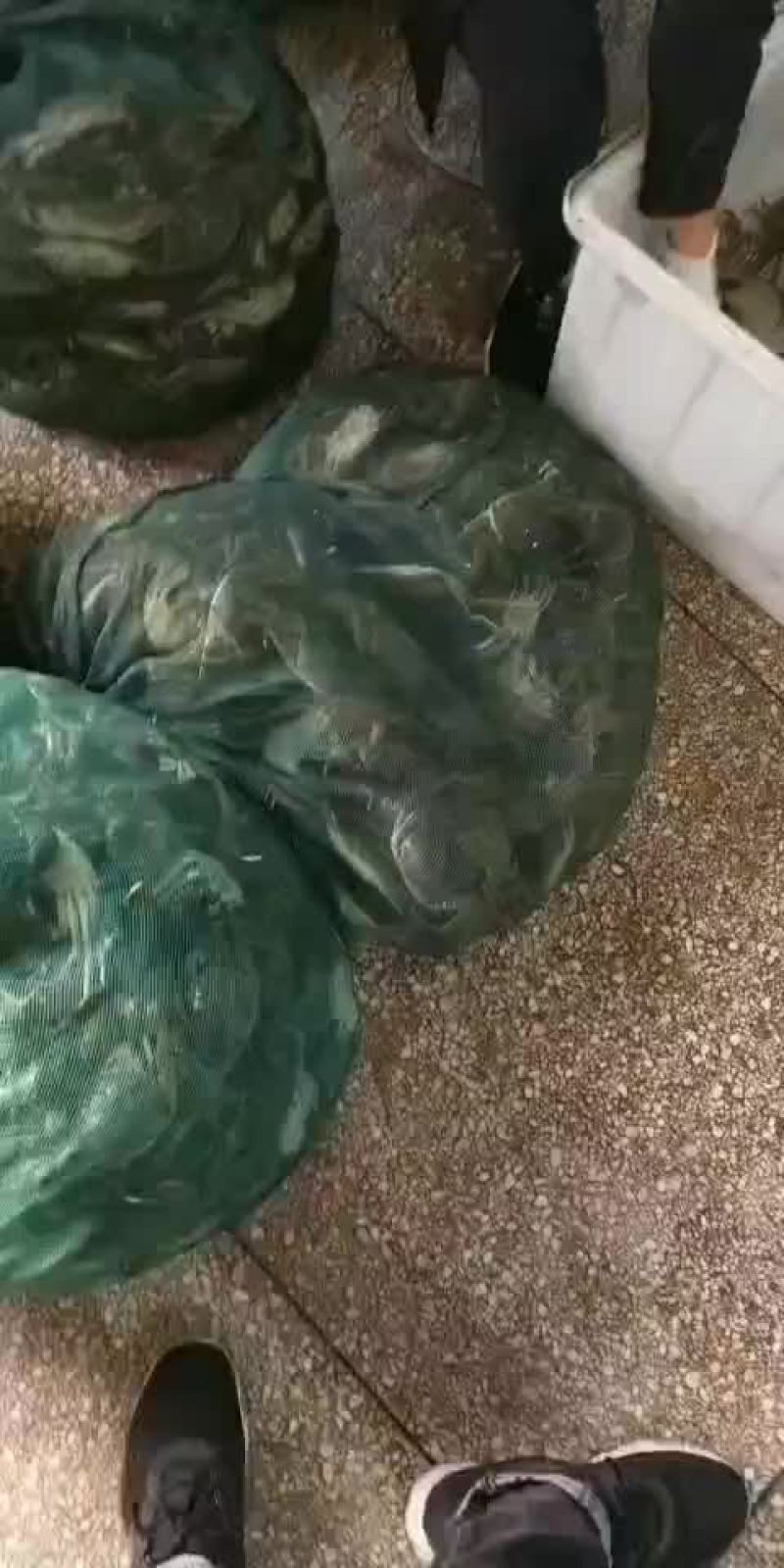 盱眙大闸蟹