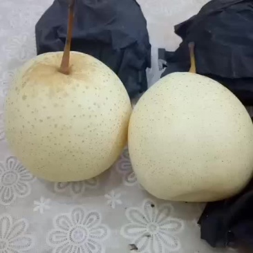 水晶鸭梨