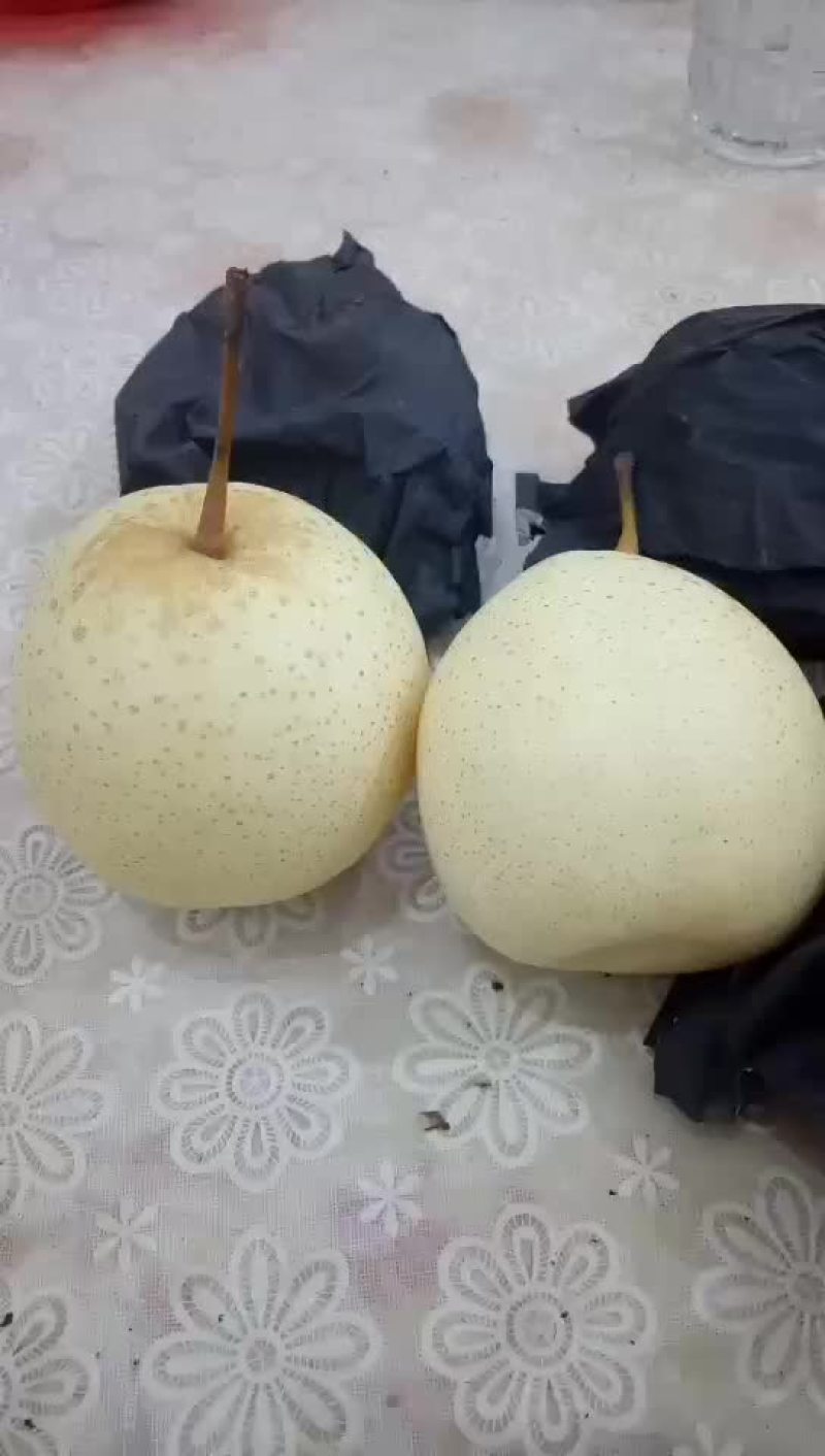 水晶鸭梨