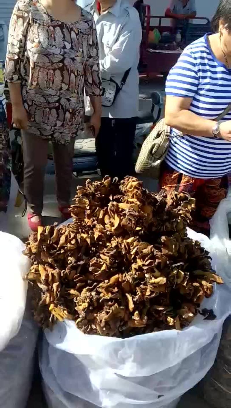 松蘑今年新货好货，优惠