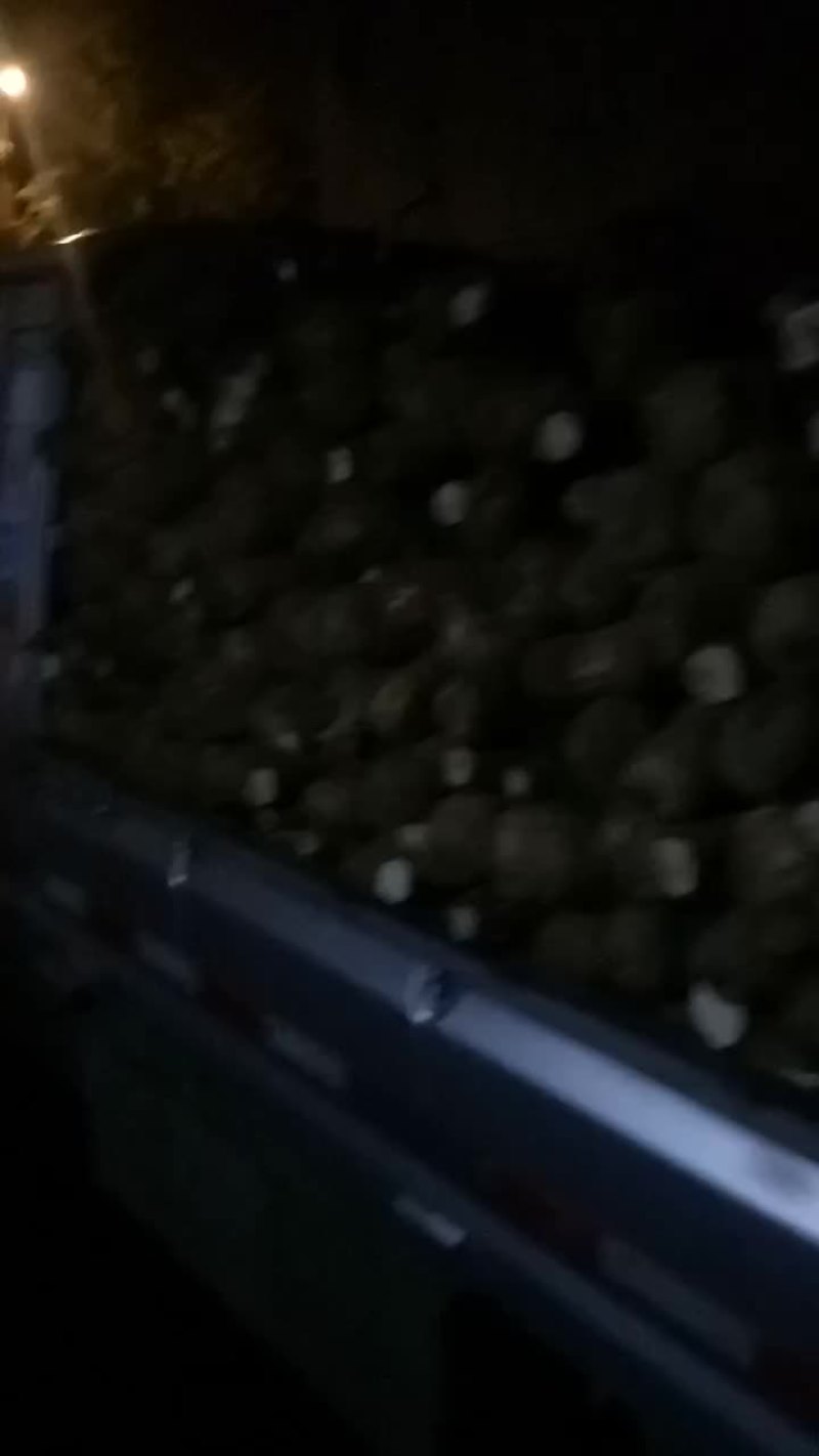 山药，30~80长的。