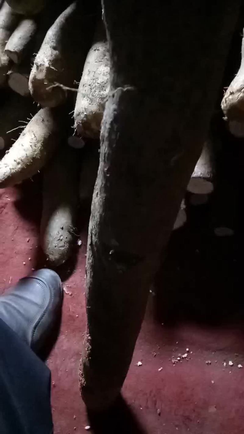 山药，30~80长的。