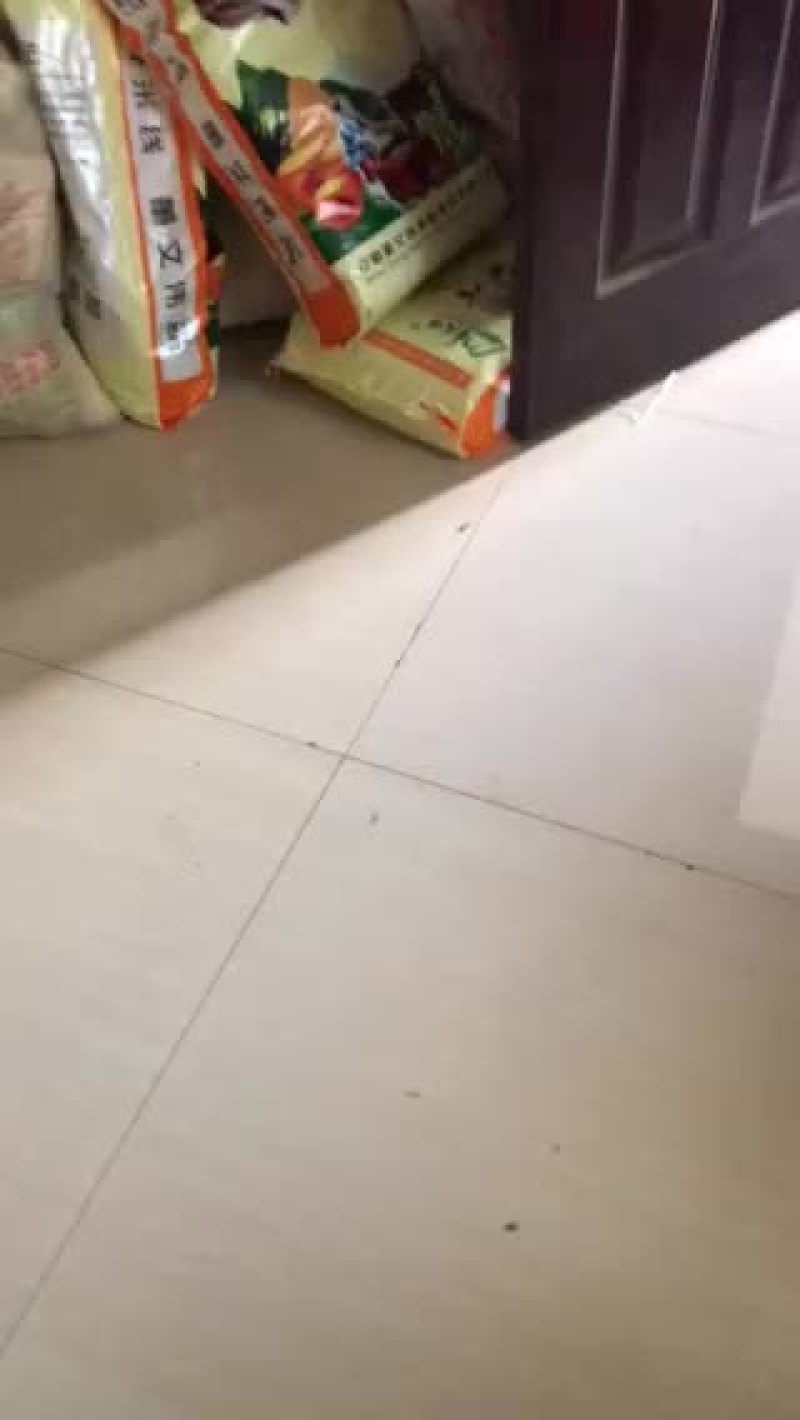 过桥米线质量保证，顾客一次下2百件