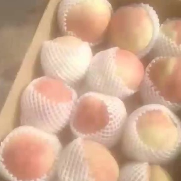 中华寿桃
