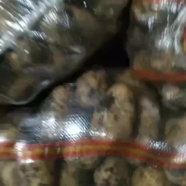226土豆