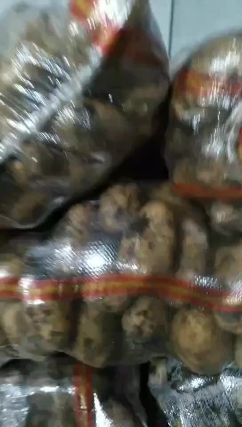 226土豆