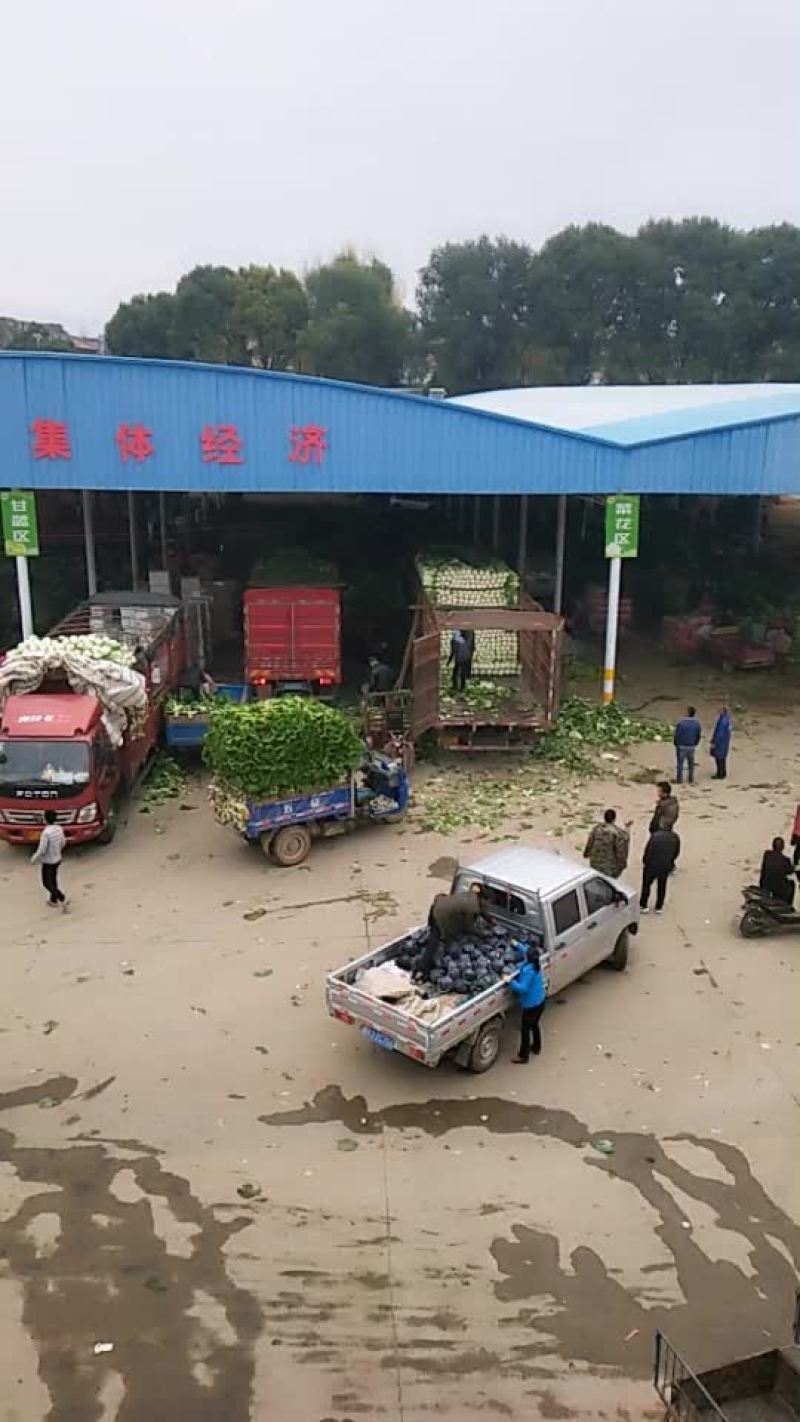 需要的聯系