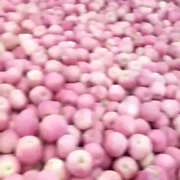 苹果