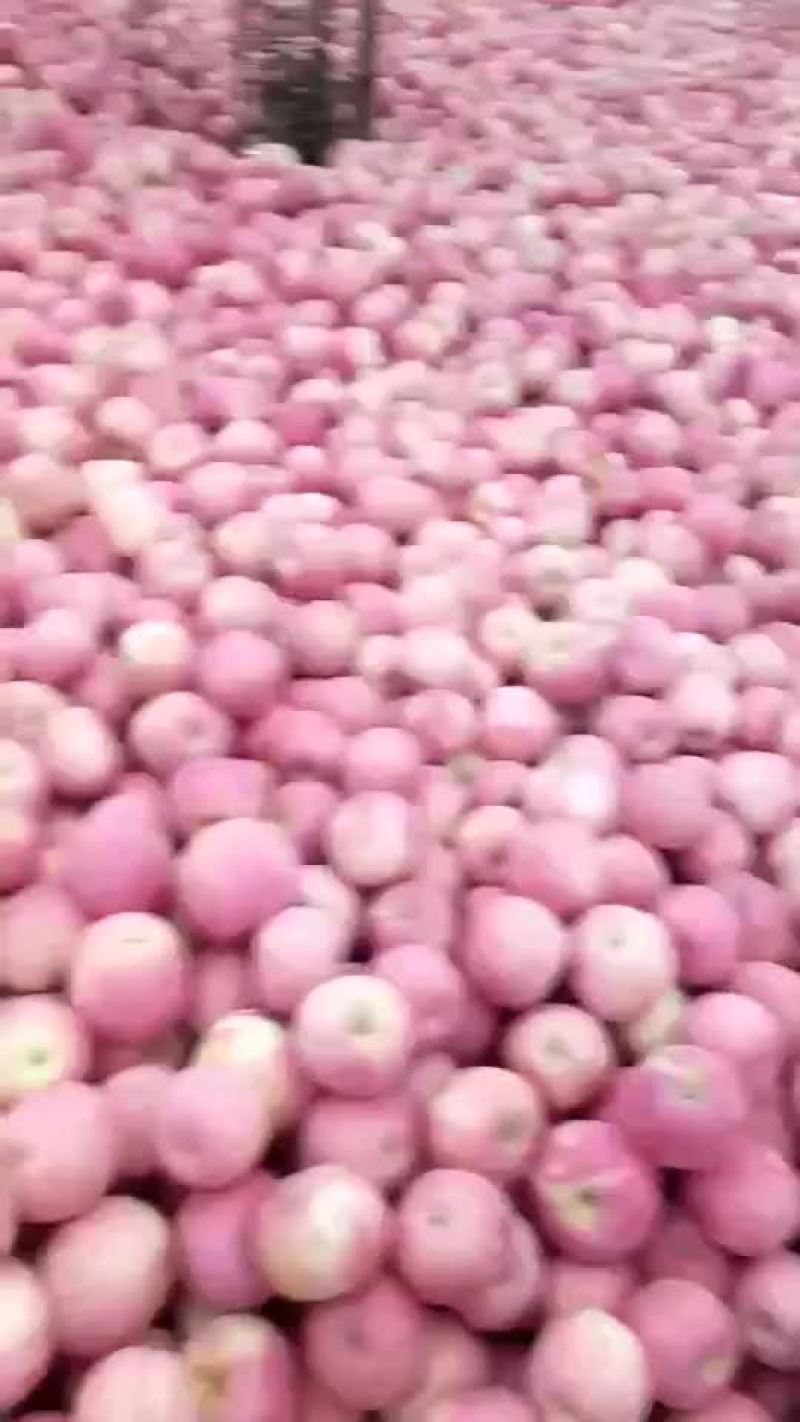 苹果