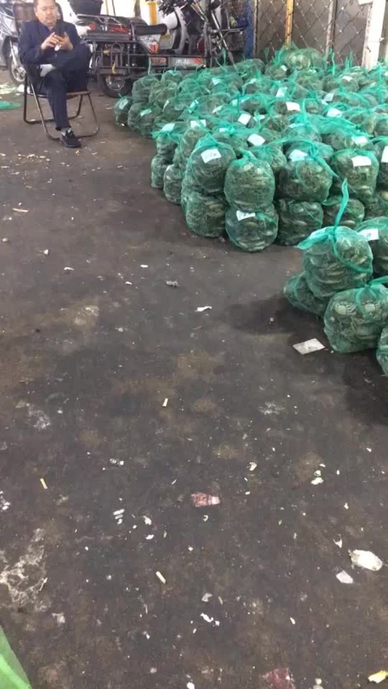 大闸蟹