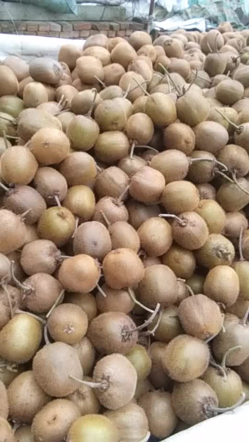 徐香二级果