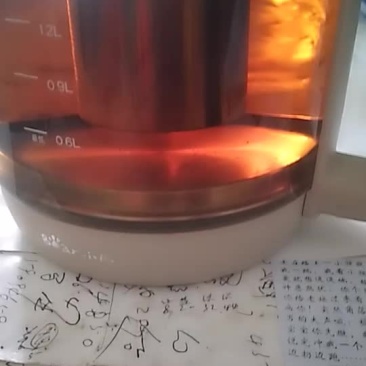 野生茶
