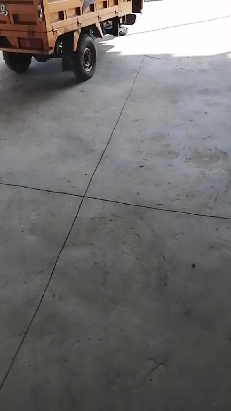 西红柿