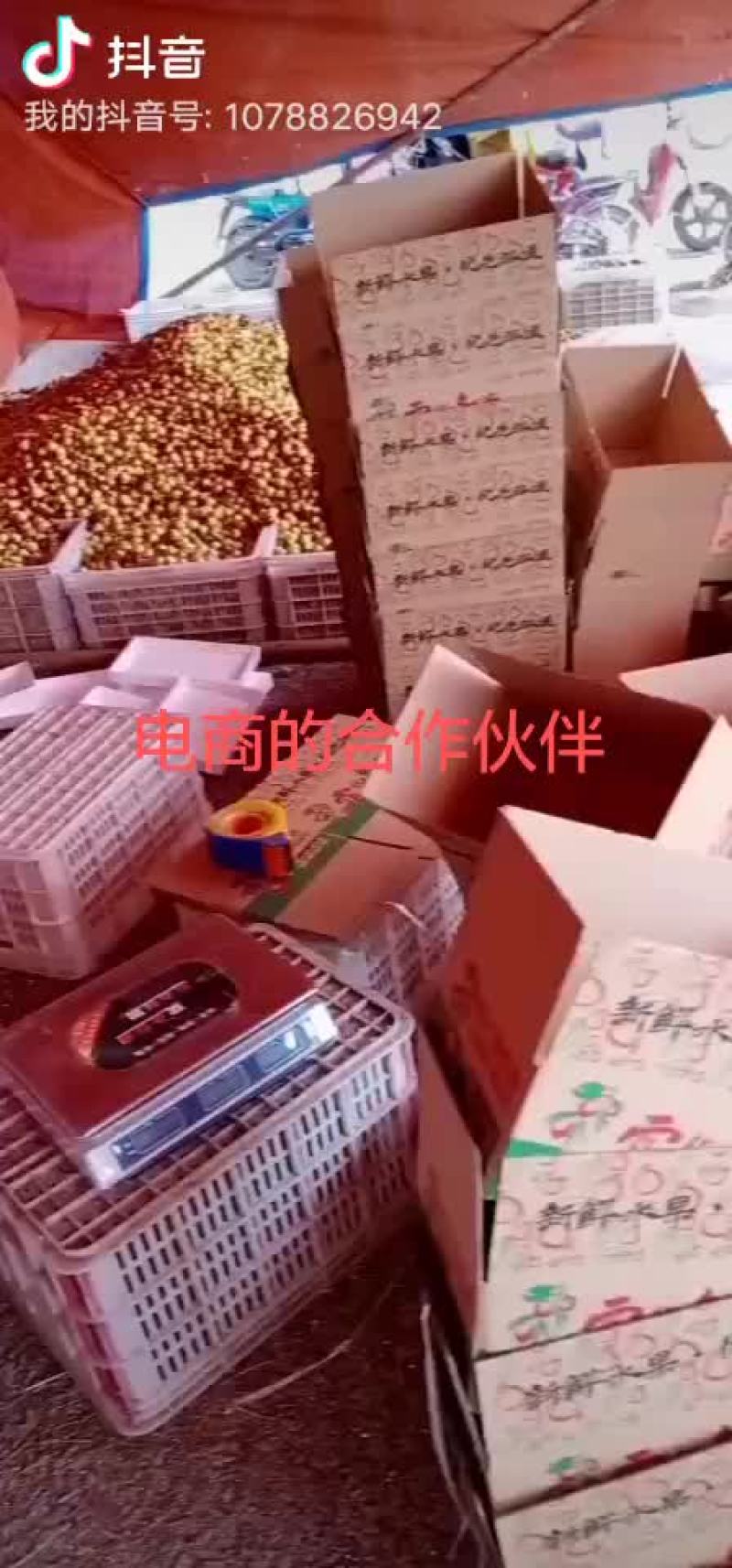 冬枣，电商对接，基地直供，地理位置优越，拥有大型场地