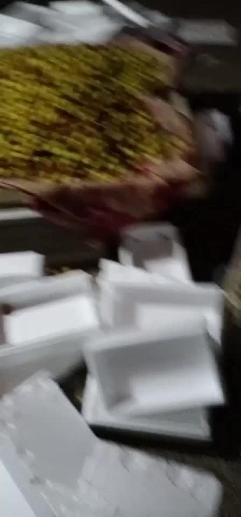 冬枣，电商对接，基地直供，地理位置优越，拥有大型场地