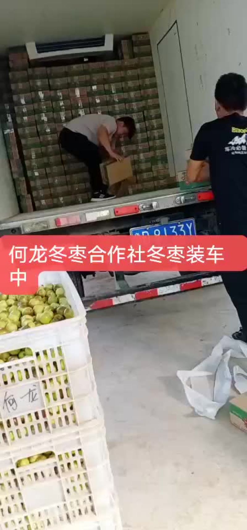 冬枣，电商对接，基地直供，地理位置优越，拥有大型场地