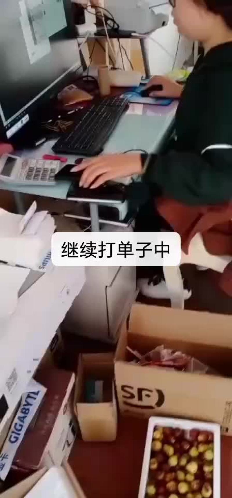 冬枣，电商对接，基地直供，地理位置优越，拥有大型场地