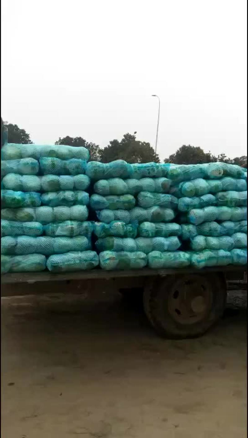 甘蓝，包菜，量大，诚信经营每天供应新鲜蔬菜