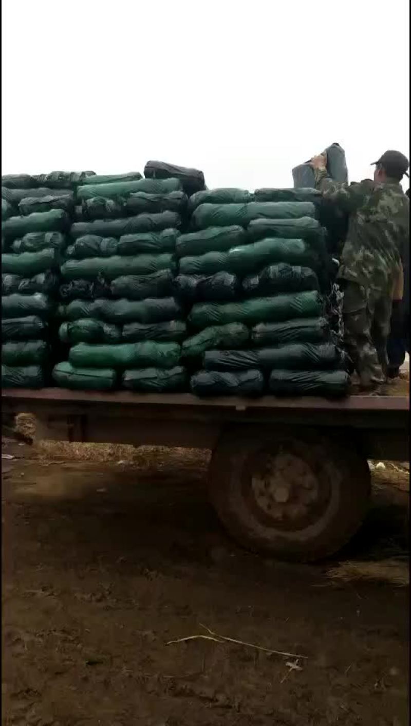 甘蓝，包菜，量大，诚信经营每天供应新鲜蔬菜