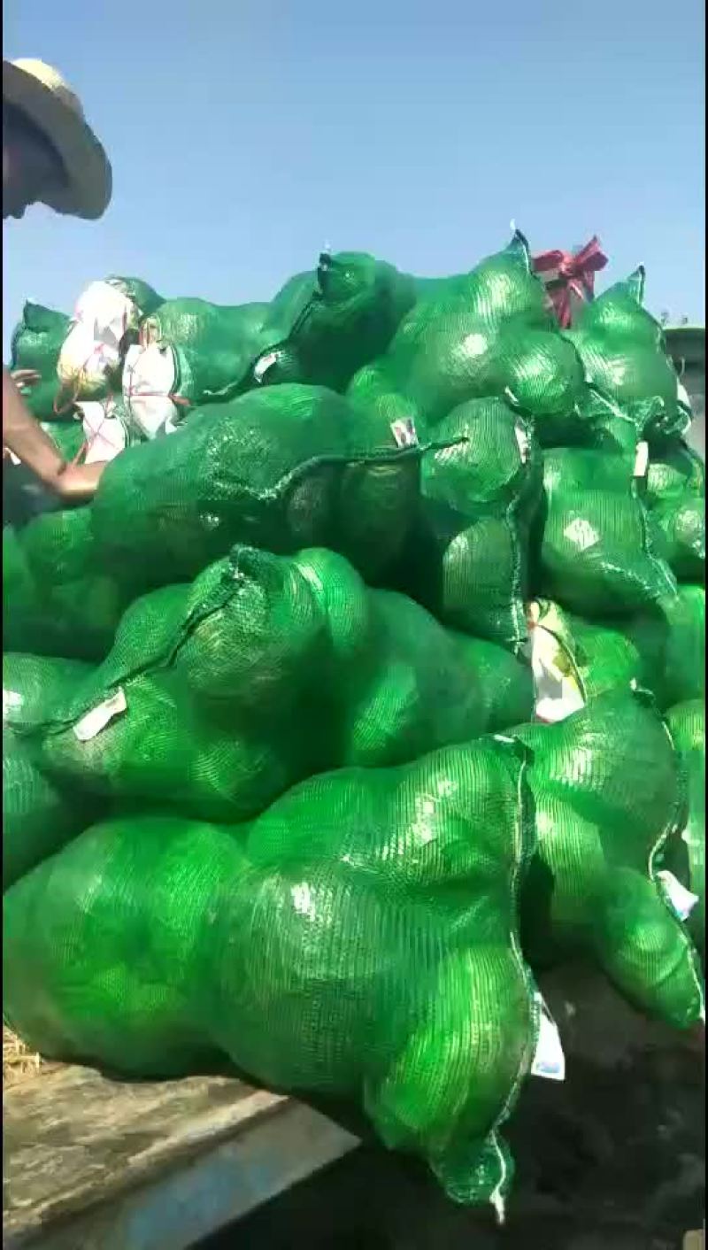 甘蓝，包菜，量大，诚信经营每天供应新鲜蔬菜